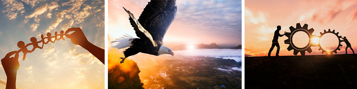 服務(wù).jpg 服務(wù).jpg